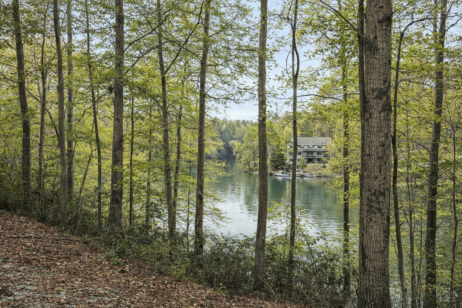 Wooded waterfront lot with Lake Adger water views, Mill Spring NC