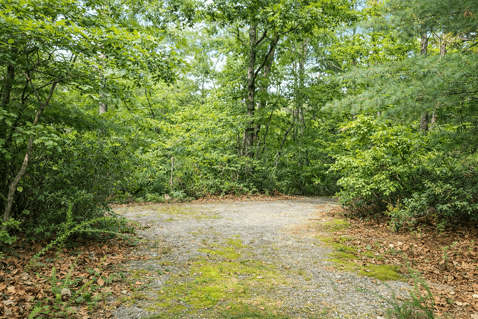 Gravel driveway and building site, waterfront lot on Lake Adger NC